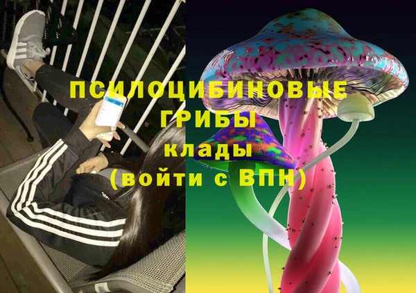 spice Балабаново