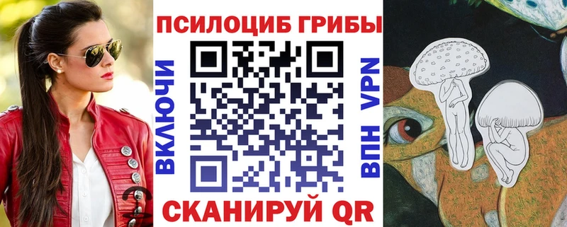 Псилоцибиновые грибы прущие грибы  Лесной 